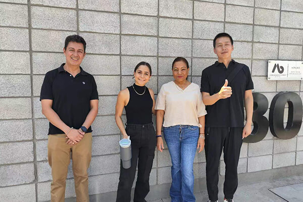Mexico Project